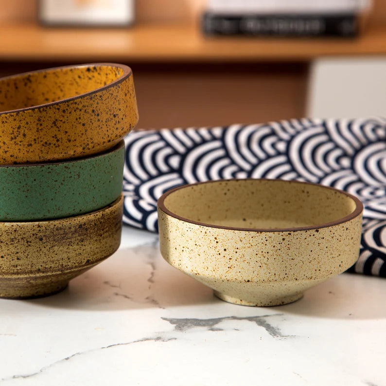 Retro Style Ceramic Dinner Bowls